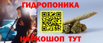 гашик Канаш