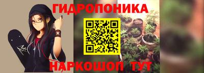 гашик Канаш