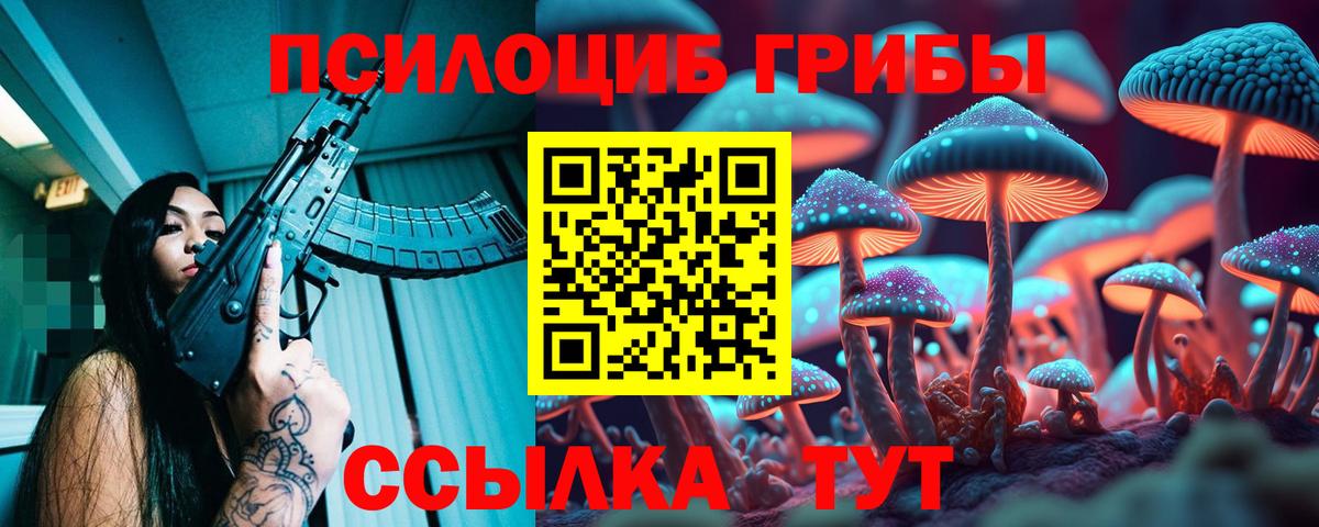 Псилоцибиновые грибы мухоморы  Вход с VPN  Дербент  Галлюциногенные грибы Psilocybine cubensis 